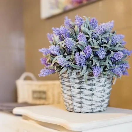 Charming Loft San Mamolo * 博洛尼亚
